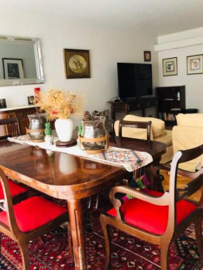 VIVI'S HOME PREMIUM DEPARTAMENTO Recoleta Libertad y juncal